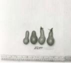 Click for 1 image(s) for this accession. FRUIT